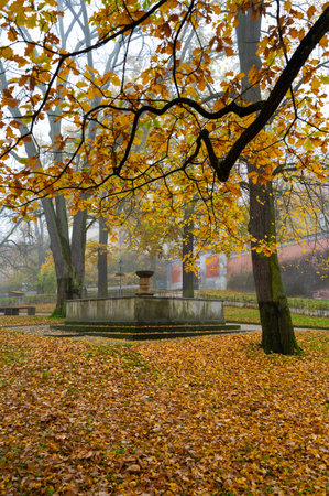 A beautiful autumn scene of the fountain in front of Cesky Krumlov Castle, surrounded by trees with golden leaves, blending nature and historic architecture in a serene atmosphereの写真素材