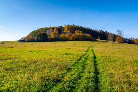 Ptaci Hradek hill near Cesky Krumlov covered in vibrant autumn forest. The golden and orange hues of the trees create a stunning natural scene in the peaceful countrysideの写真素材