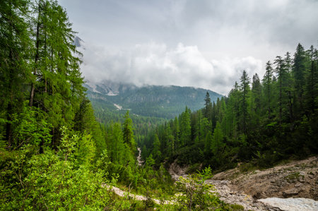 Mountain trail in the Dolomites (Dolomiti, Dolomiten), Italy, leading to Lago Sorapis. The path winds along rocky slopes with stunning views of valleys, forests, and peaksの写真素材