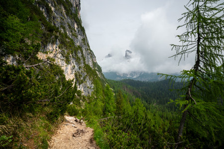 Mountain trail in the Dolomites (Dolomiti, Dolomiten), Italy, leading to Lago Sorapis. The path winds along rocky slopes with stunning views of valleys, forests, and peaksの写真素材
