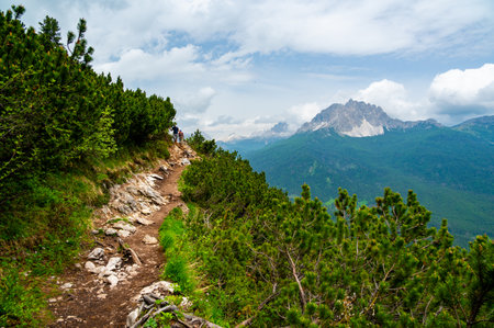 Breathtaking view of forests, mountains, and valleys in the Italian Dolomites (Dolomiti, Dolomiten). Captured from a scenic trail along a rocky ledge. Stunning alpine natureの写真素材