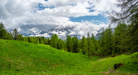 Mountain peaks around Cinque Torri in the Dolomites (Dolomiti, Dolomiten), Italy. Majestic summits partially covered in mist and clouds, with lush forests in the valleys belowの写真素材