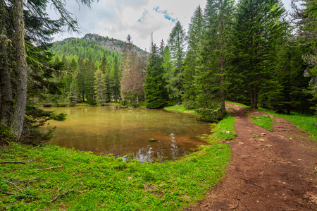 Lago Bain de Dones in the Dolomites (Dolomiti, Dolomiten), Italy. A serene alpine lake surrounded by lush forests and towering mountain peaks, reflecting the stunning natural landscapeの写真素材