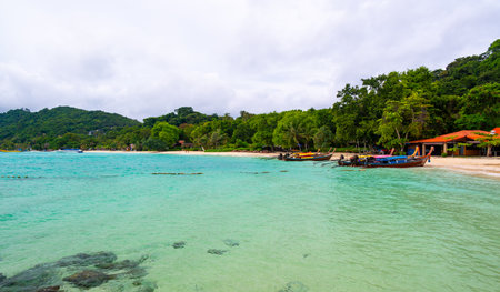 Tropical beach on Ko Phi Phi island in Thailand with palm trees, lush rainforest, and traditional long tail boats anchored along the shore under the bright sun.の写真素材