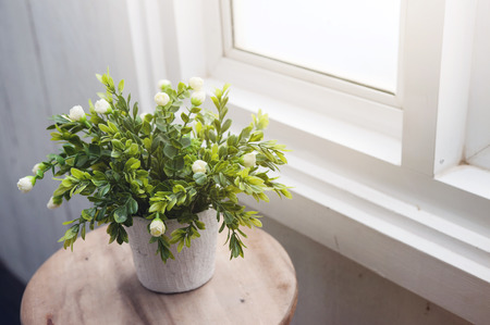 White flower in white flowerpot on round wood table near a white window.の写真素材