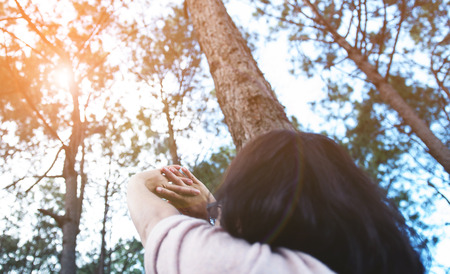 Happiness, relaxation with early morning concept. Woman hands up in fresh air at pine forest background with sunlight.の写真素材