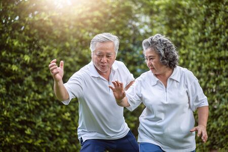 Asian Couple in white shirts practicing exercising at the park. Good health, Wellness. Senior man coaching Tai Chi for his wife.の写真素材