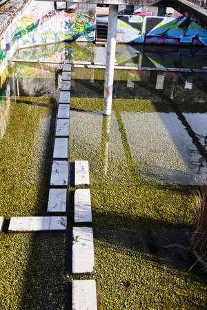stone tiles leading through the water in a lost industry areaの写真素材