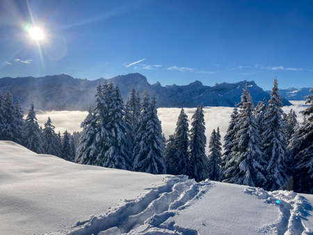 The Sunshine in a Snowy Mountain Landscape in Switzerlandの写真素材