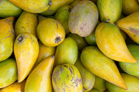 Bunch of canistel, egg fruit (pouteria campechiana) - close up