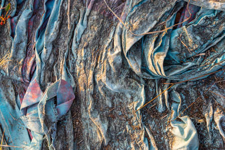 Image of blue textile disposed of in natureの写真素材