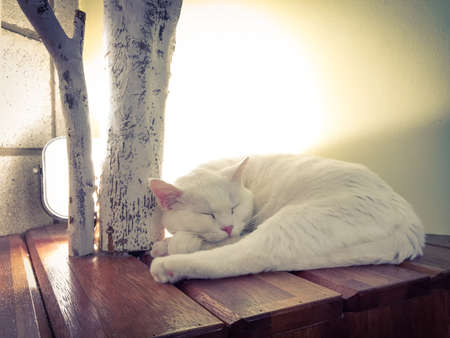 meditationの写真素材