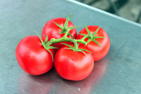 Tomato Weigh In at the Farmers' Marketの写真素材