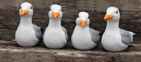 Four Seagull Statues All in a Rowの写真素材