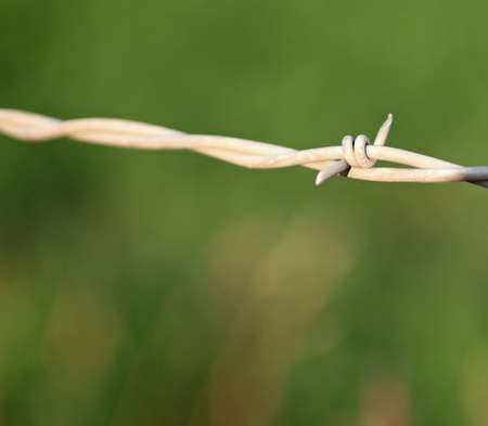Closeup of Barbed Wireの写真素材