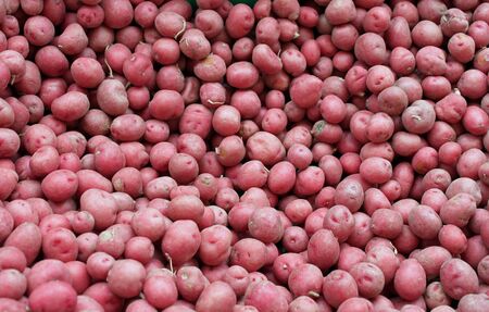 Closeup of Fresh Picked Baby Red Potatoes at the Farmers' Marketの写真素材