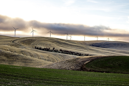 Eight Wind Turbines on rolling farm fields under a cloudy sky on the Palouse, Washington State