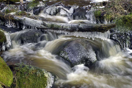 Rapid river in forestの写真素材