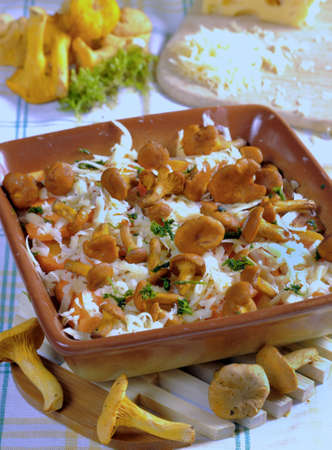 Fried golden chanterelles in plate with garden-stuff and cheese の写真素材