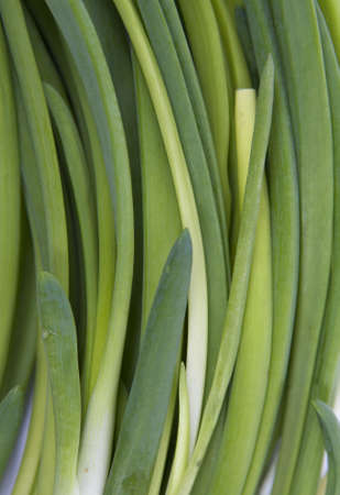 fresh onions background の写真素材