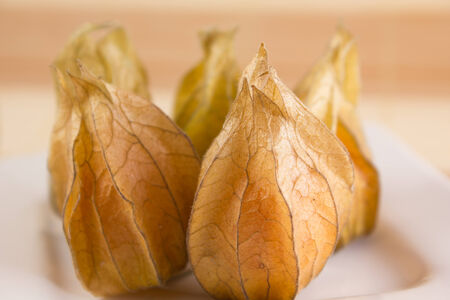 five standing physalis on a white plate の写真素材