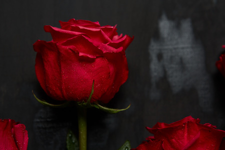 Composition of red roses on dark grey background. Romantic shabby chic decor. Top view. Love Concept. Valentines day Card with red hearts on black background with copyspace for greeting textの写真素材