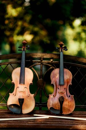 Violin music instrument of orchestra. Violins in the park on the benchの写真素材