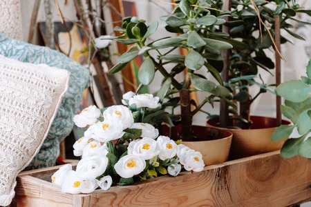 scandinavian style hipster interior, cozy loft roomの写真素材