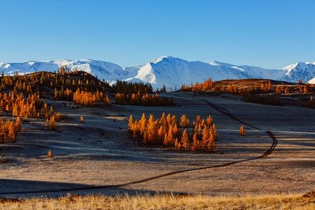 Autumn in the mountains. Beautiful mountain scenery. Autumn mood