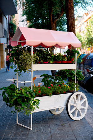 Beautiful cut flowers sold on outdoor flower shop in Barcelona, Spain.の写真素材
