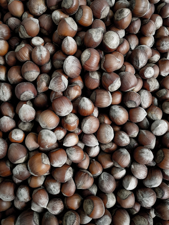 Top view of shelled hazelnuts. Texture for nuts