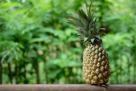Pineapple Fruit on Exotic Palm Forest Background. Tropical Summer Ripe Food in Paradise Hotel. Raw...