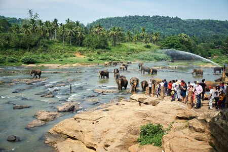 Pinnawala, Sri-Lanka 03/2019: People Watch Elephants Bathing in River of Islandのeditorial素材