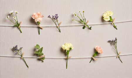 Flowers hanging on the rope with wooden clothespins in frame. Sping moodの写真素材