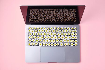 Spring Flowers Keyboard. Laptop with Flowers over pink background. Spring mood.の写真素材
