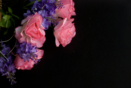 Pink autumn roses and violet flowers in a dark black backgroundの写真素材