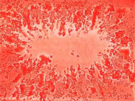 frosty snowflakes frame red handmade watercolor