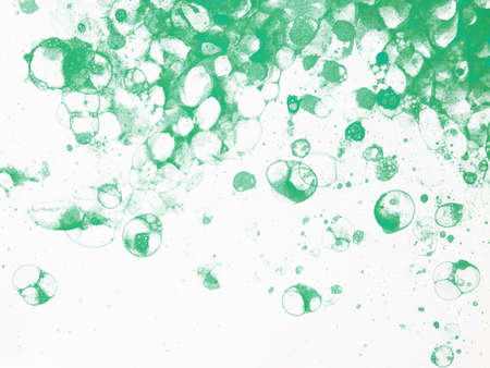 Watercolor hand drawn bubbles colorful soap frothの写真素材