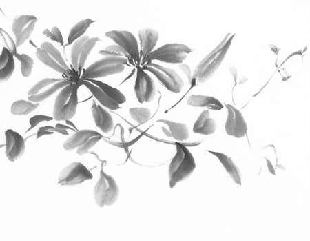 Clematis ink paintingの写真素材