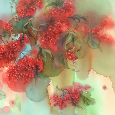 rowan berries and leaves watercolor backgroundの写真素材