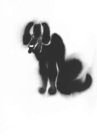 black dog watercolorの写真素材