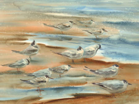 Sea birds watercolor landscapeの写真素材