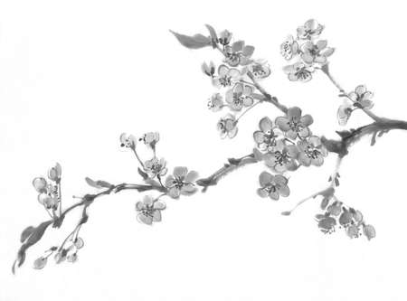 A sakura tree branch in bloom. Traditional chinese paintingの写真素材
