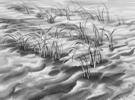 Sand dune monochrome grey watercolor landscape. Grass in the windの写真素材