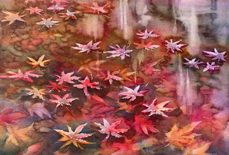 Japanese maple leaves in water watercolor backgroundの写真素材