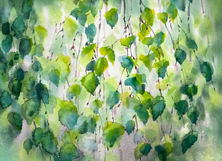 Birch tree leaves in spring abstract watercolor backgroundの写真素材