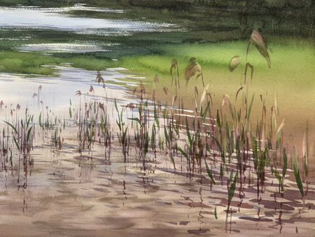 Lake water and grass abstract watercolor backgroundの写真素材