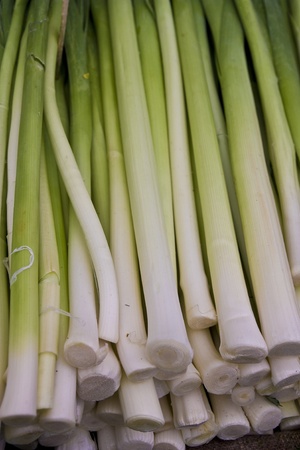 fresh green leeksの写真素材