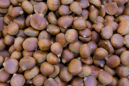 fresh brown chestnutsの写真素材