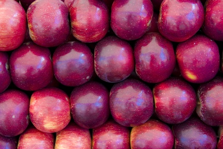 fresh red applesの写真素材